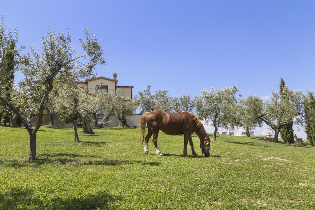 Agriturismo Le Bosche 산마리노 외부 사진