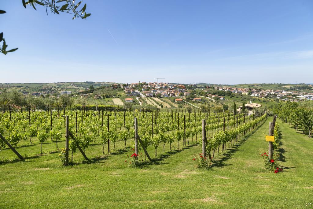 Agriturismo Le Bosche 산마리노 외부 사진