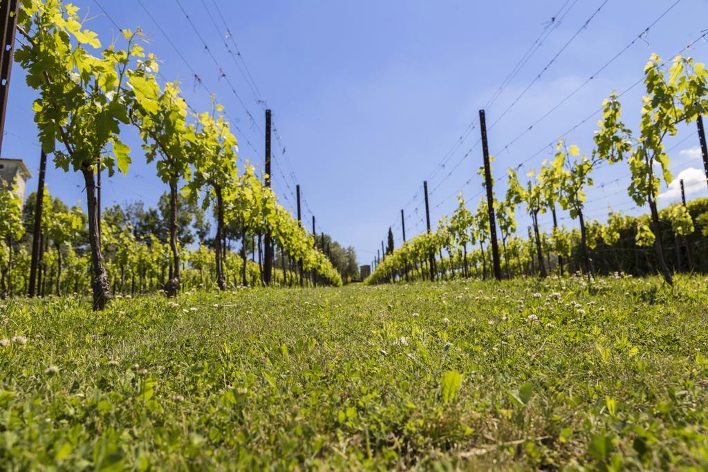 Agriturismo Le Bosche 산마리노 외부 사진