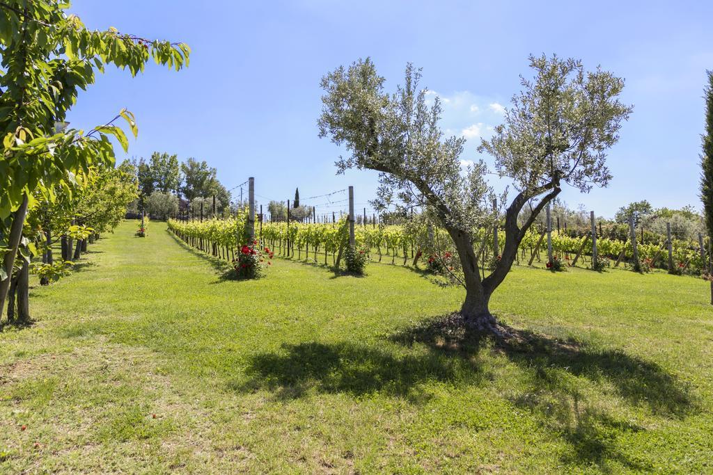 Agriturismo Le Bosche 산마리노 외부 사진